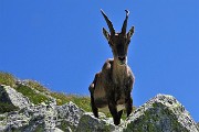 36 Si avvicinano incuriositi ad osservare...